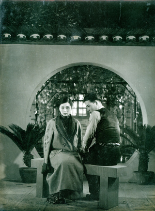 阮玲玉(中國內地女演員)