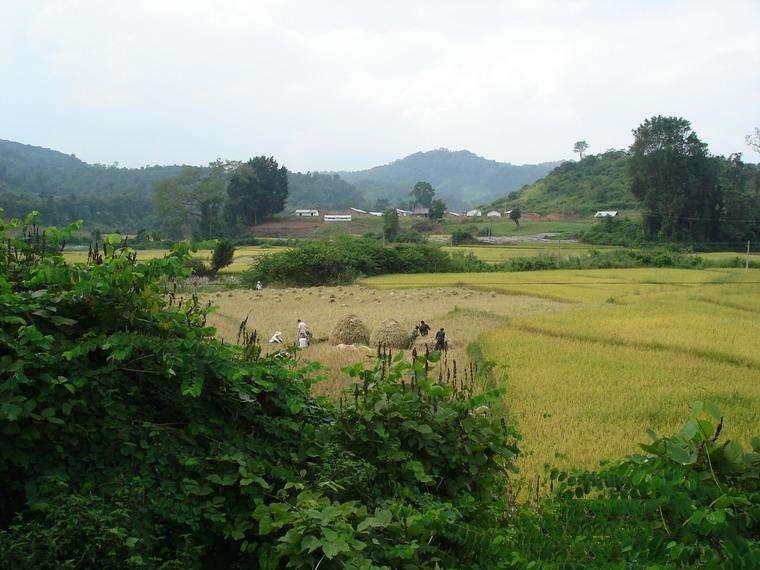 納龍村(雲南省西雙版納州景洪市普文鎮納龍村) 納龍村(雲南省西雙版納州景洪市普文鎮納龍村)