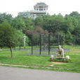 平湖公園 平湖公園