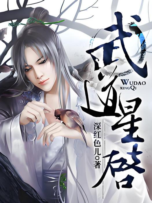 武道星啟 武道星啟