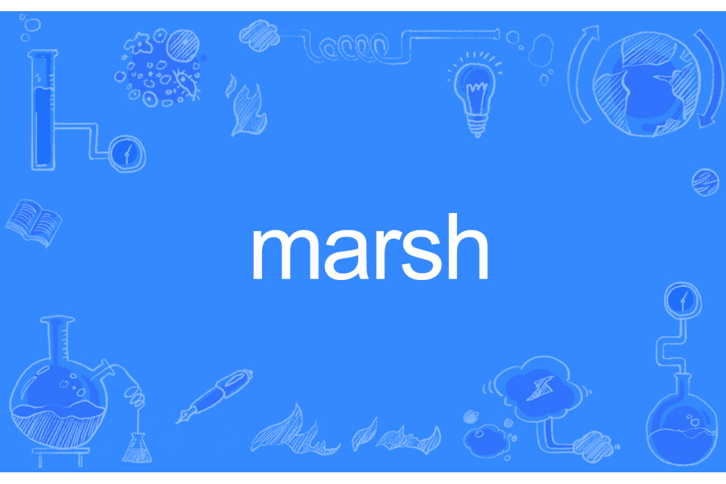 Marsh Marsh