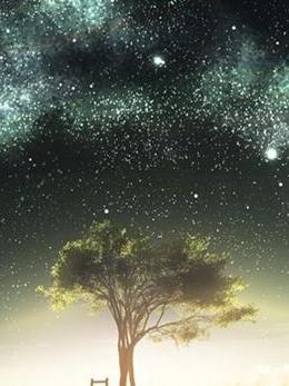 星淵之中 星淵之中
