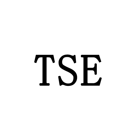 TSE(機場三字代碼)