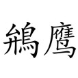 鴘鷹 鴘鷹