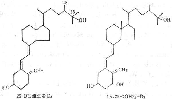 1,25-二羥維生素D3