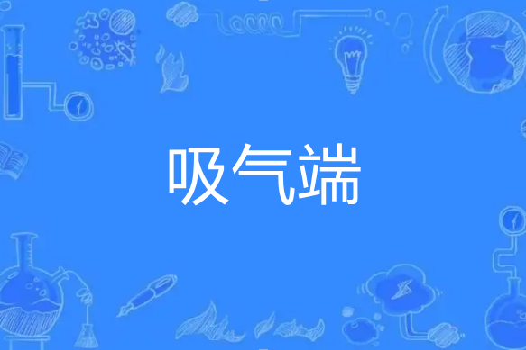 吸氣端 吸氣端