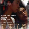 新不了情(2006年陳坤、薛凱琪主演電視劇)