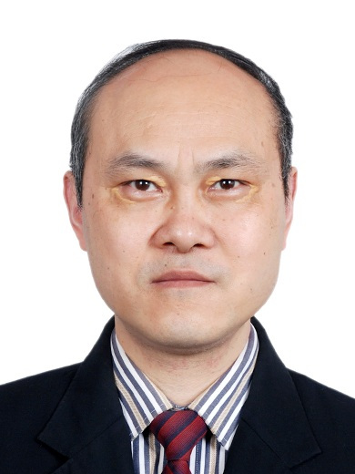 陳進(重慶大學機械工程學院教授) 陳進(重慶大學機械工程學院教授)