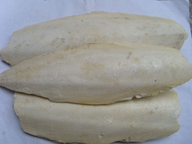 烏賊骨膏