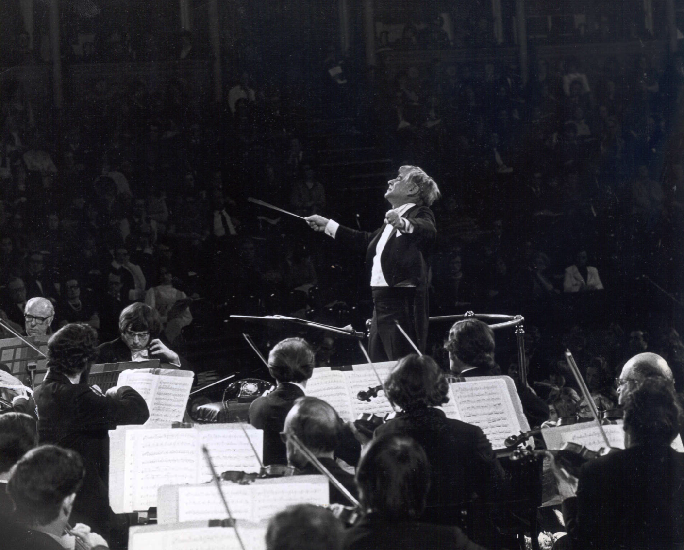 倫納德·伯恩斯坦在皇家節日音樂廳執棒樂團，拍攝於1966年