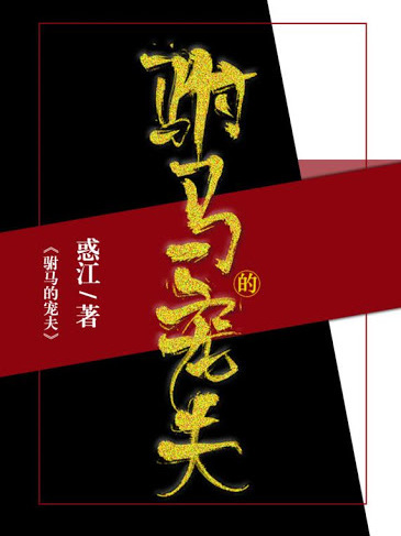 駙馬的寵夫