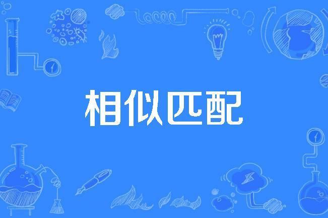 相似匹配 相似匹配
