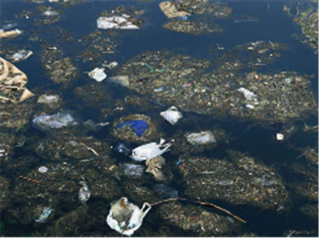海洋污染物