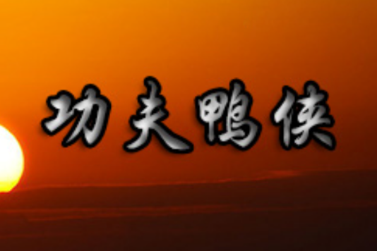 功夫鴨俠 功夫鴨俠