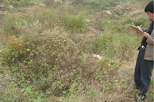 小山子墓地