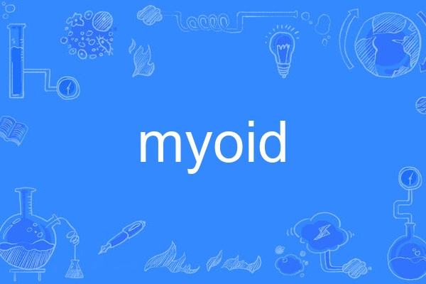 myoid myoid
