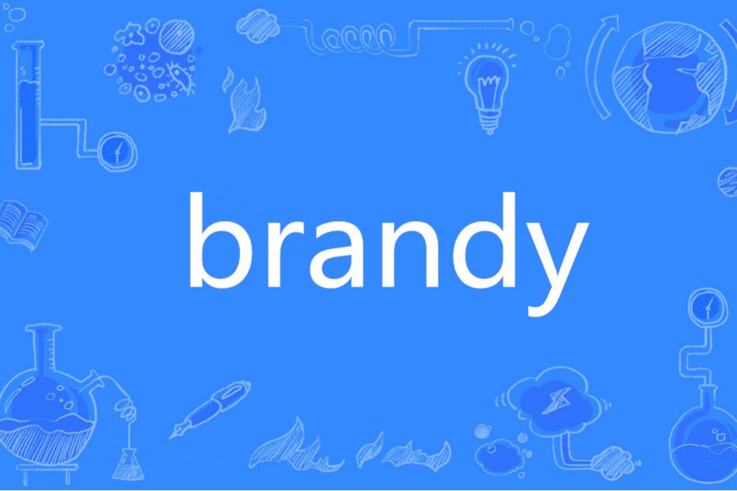 Brandy(英語單詞) Brandy(英語單詞)
