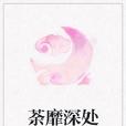 荼靡深處