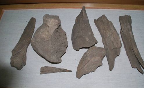 嫩江猛獁象化石點遺址