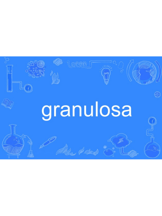 granulosa granulosa