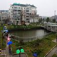 南翔村(浙江杭州市蕭山區南陽鎮下轄村) 南翔村(浙江杭州市蕭山區南陽鎮下轄村)