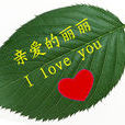 樹葉信息 樹葉信息