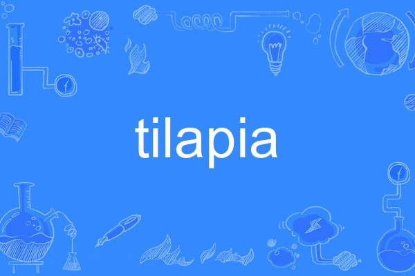tilapia tilapia