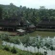 曼那村 曼那村