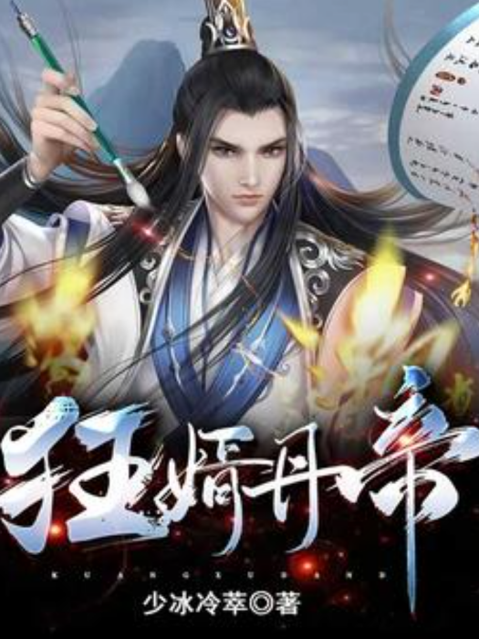 狂婿丹帝 狂婿丹帝