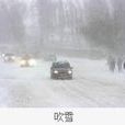低吹雪 低吹雪