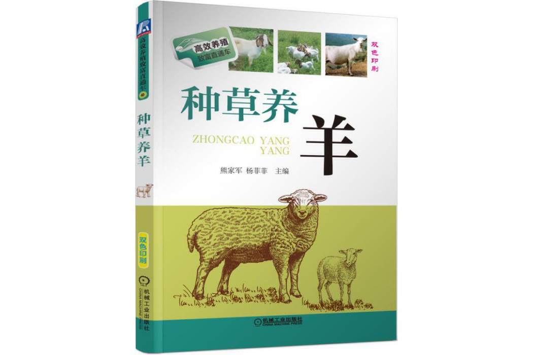 種草養羊 種草養羊