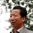 王智(畫家王智)