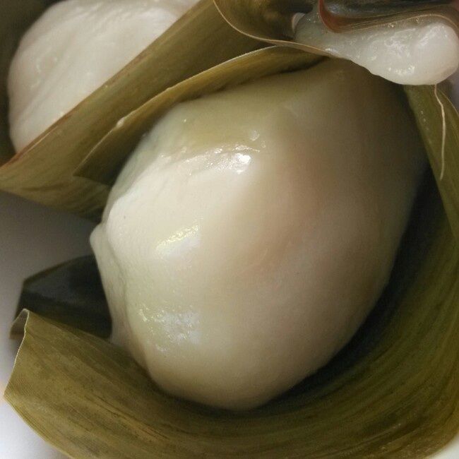 中山茶果 中山茶果