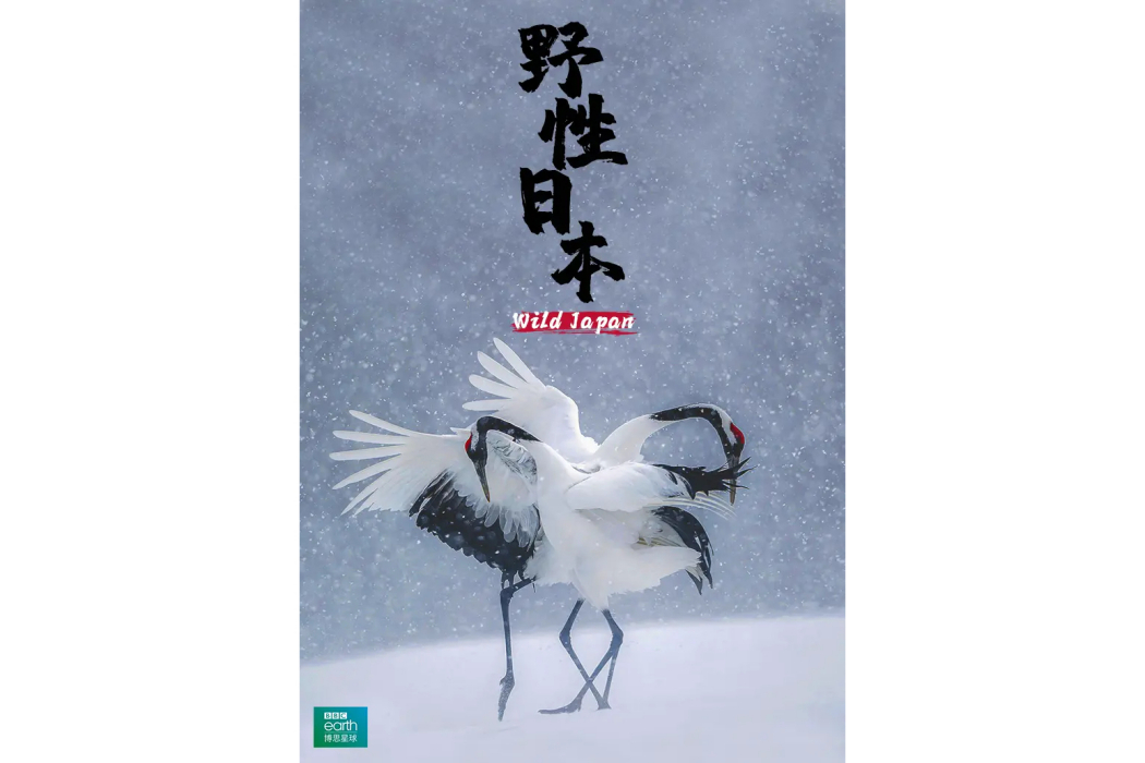 野性日本 野性日本