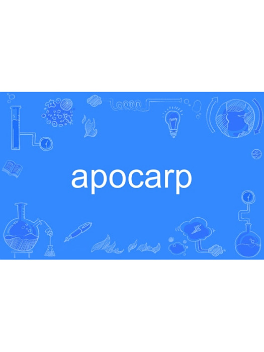 apocarp apocarp