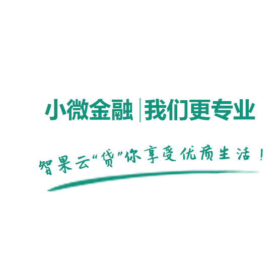 智果雲（廣州）投資管理有限公司