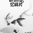 Brain記憶碎片 Brain記憶碎片