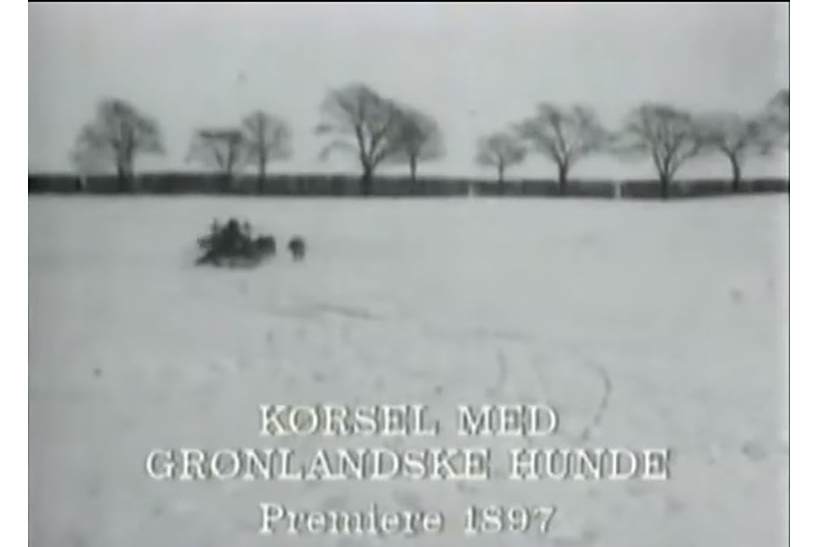Kørsel med grønlandske hunde