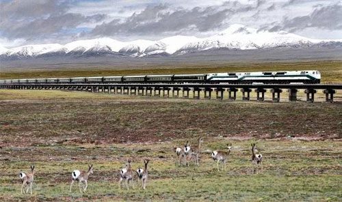 以橋代路的典範-青藏鐵路清水河特大橋