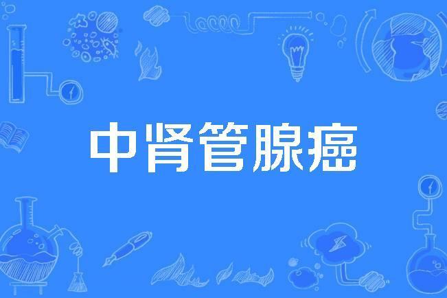 中腎管腺癌 中腎管腺癌