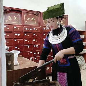 楊琴