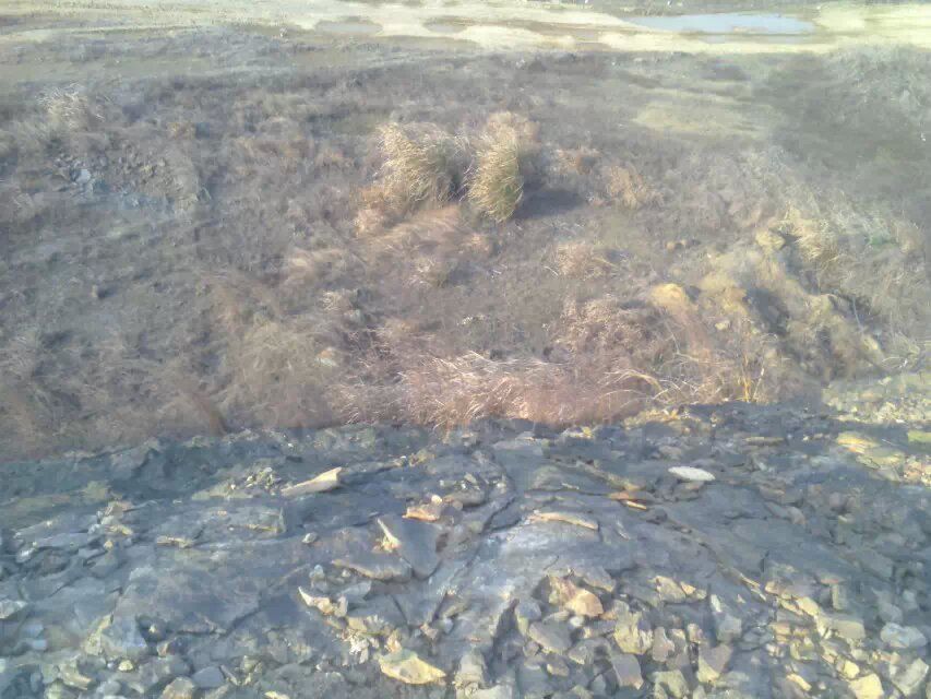 鳳舞山 鳳舞山