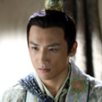 薛應龍(小說《薛家將》中人物) 薛應龍(小說《薛家將》中人物)