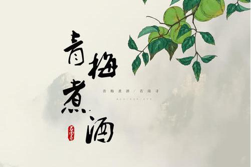 青梅煮酒(若南尋演唱歌曲) 青梅煮酒(若南尋演唱歌曲)