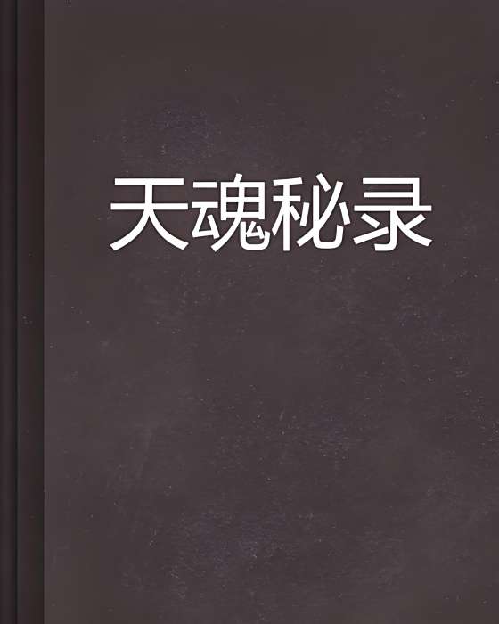 天魂秘錄 天魂秘錄