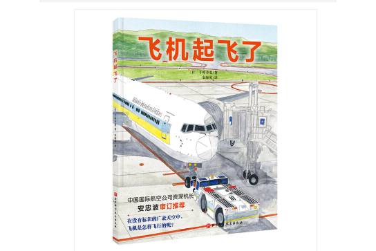 飛機起飛了 飛機起飛了
