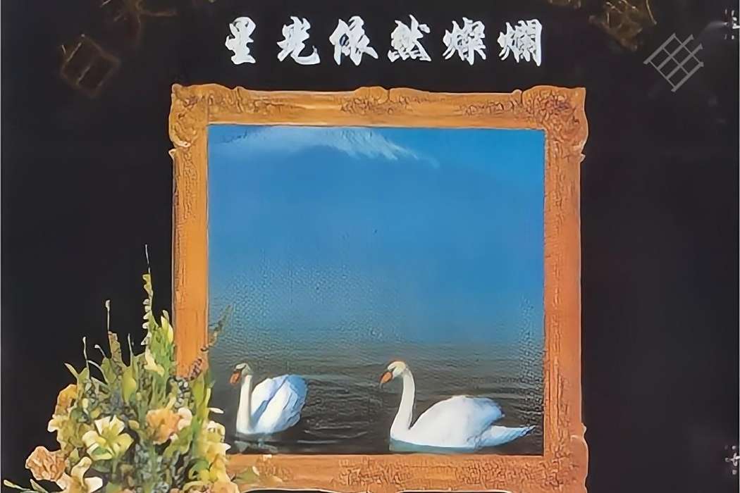 怎能忘(董文華演唱的歌曲) 怎能忘(董文華演唱的歌曲)