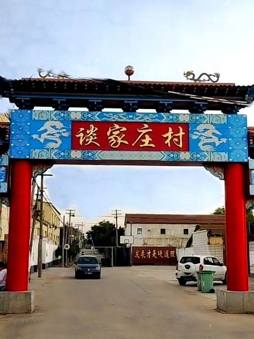 談家莊村 談家莊村