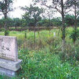 鯔山遺址 鯔山遺址