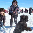 第十二屆烏魯木齊絲綢之路冰雪風情節